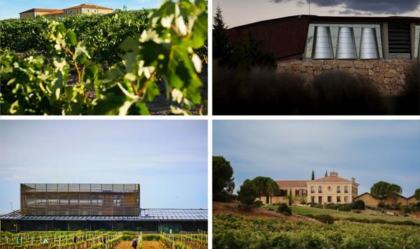 Arriba, Finca La Capilla, de Marqués de Cáceres (a la izquierda), y Portia, de Familia Martínez Zabala-Grupo Faustino; y abajo, Bela, de CVNE (izquierda) y Áster (La Rioja Alta), todas ellas bodegas ubicadas en Ribera del Duero.