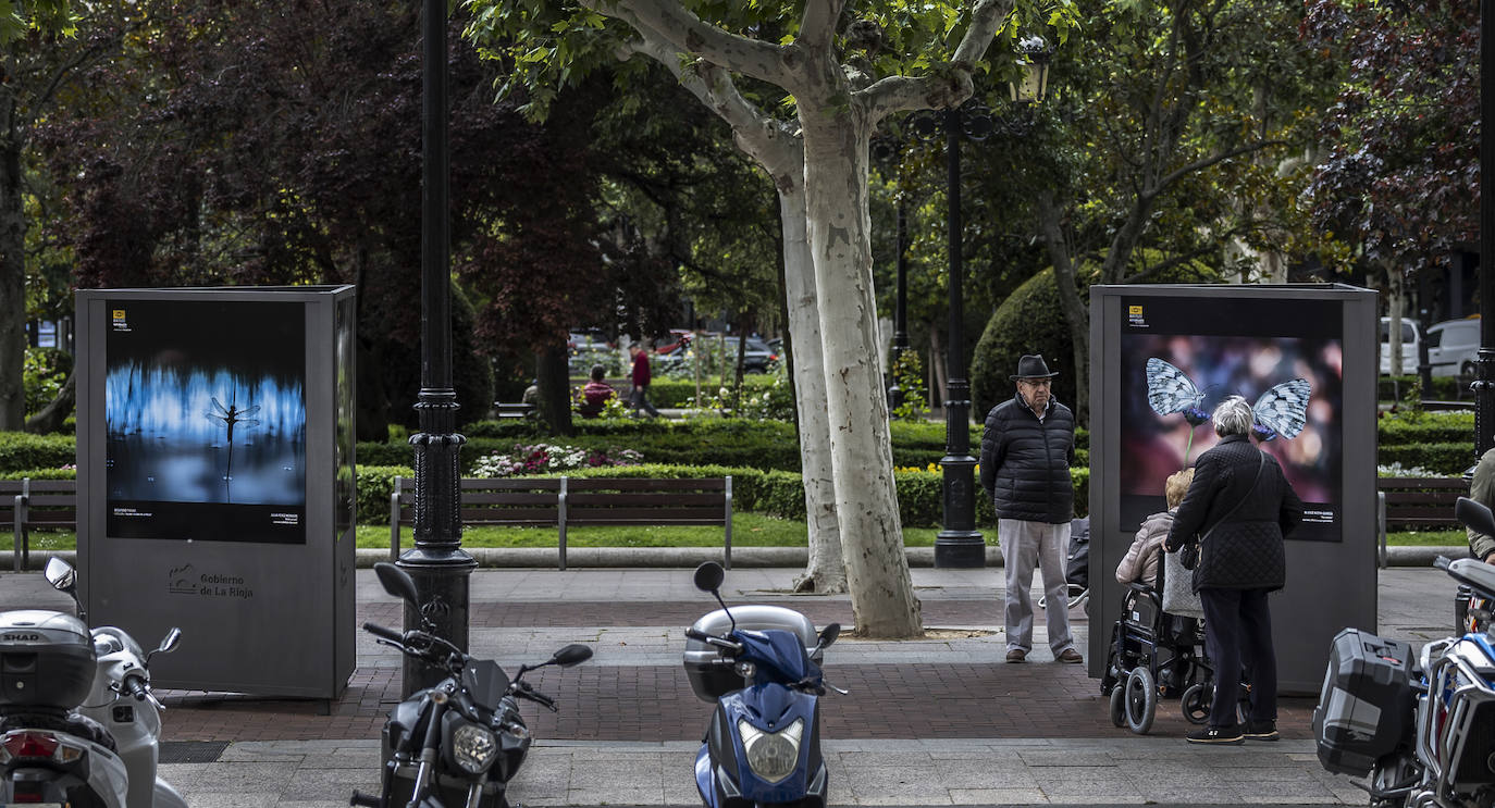 Exposición del &#039;XVII Concurso Fotográfico Naturaleza de La Rioja&#039;