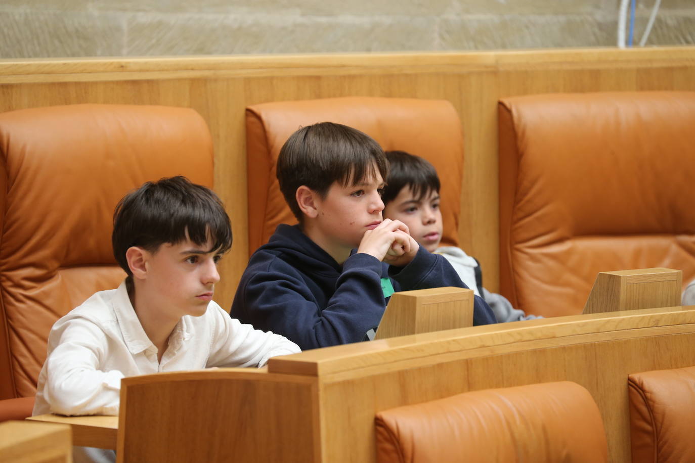 El Parlamento de La Rioja acoge la celebración del Pleno infantil