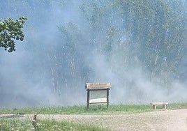 Humo en el parque del Iregua por el incendio.
