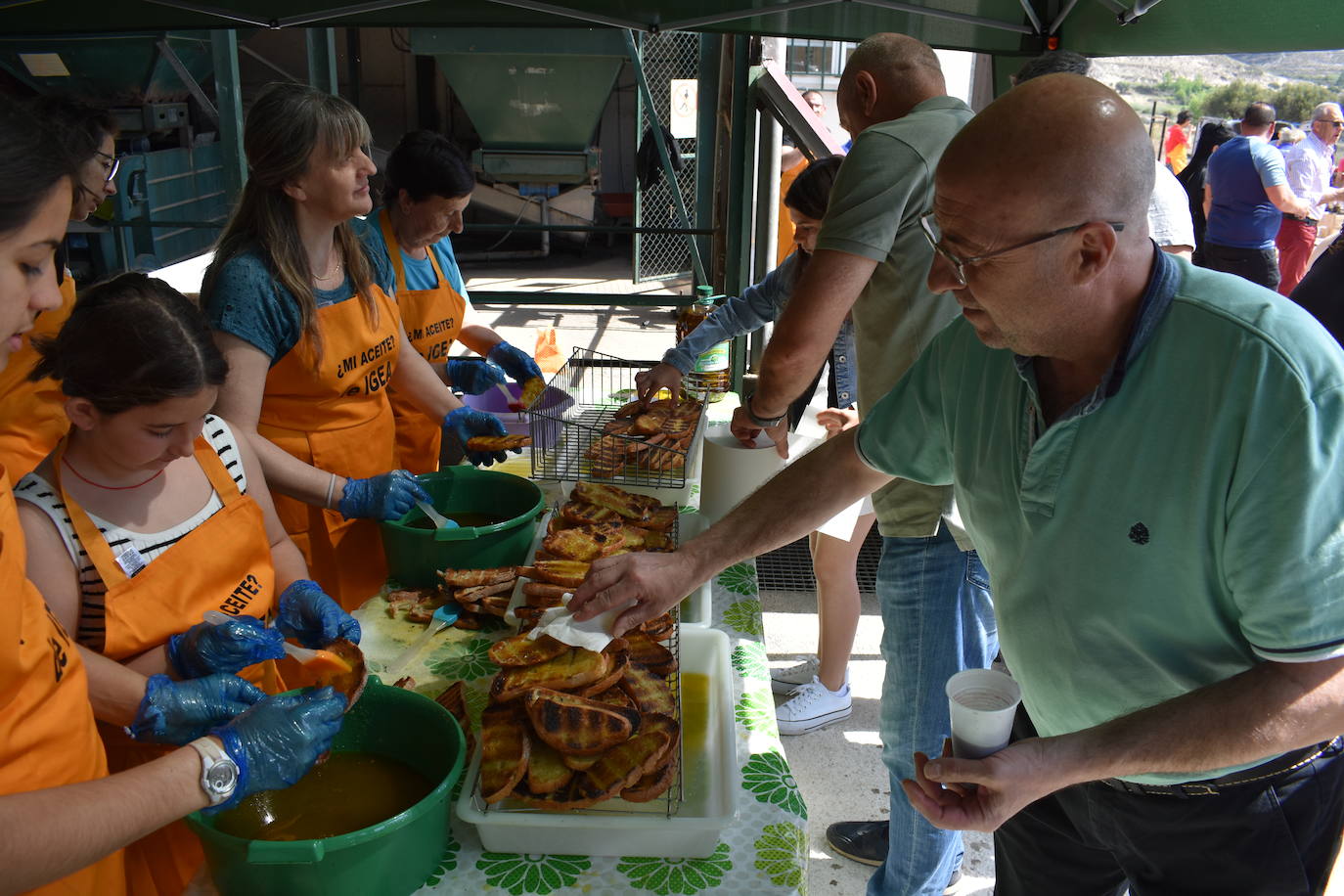 Fiesta del trujal en Igea con 1.500 tostadas para disfrutar