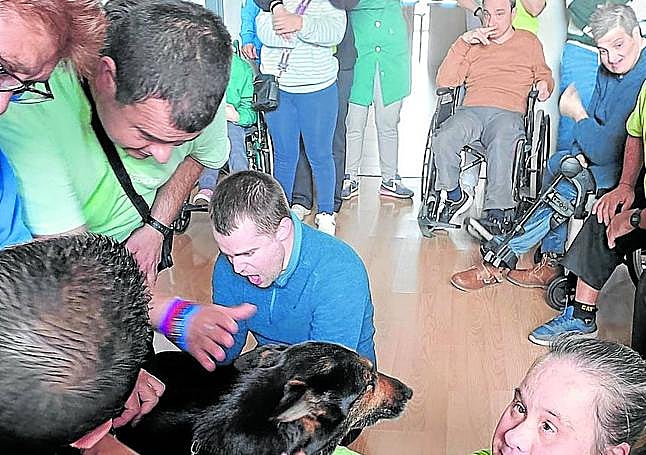 David Castilla y César Fenández supervisan la interactuación de los usuarios del centro Áncora de Calahorra con los perros Dora y Oxy de la Unidad Canina de la Guardia Civil.