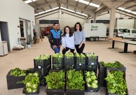 Cocina Económica recibe la donación de 150 lechugas de la Universidad de La Rioja