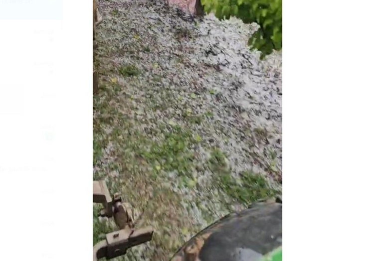 Una granizada tiñe de blanco algunos campos de Alfaro