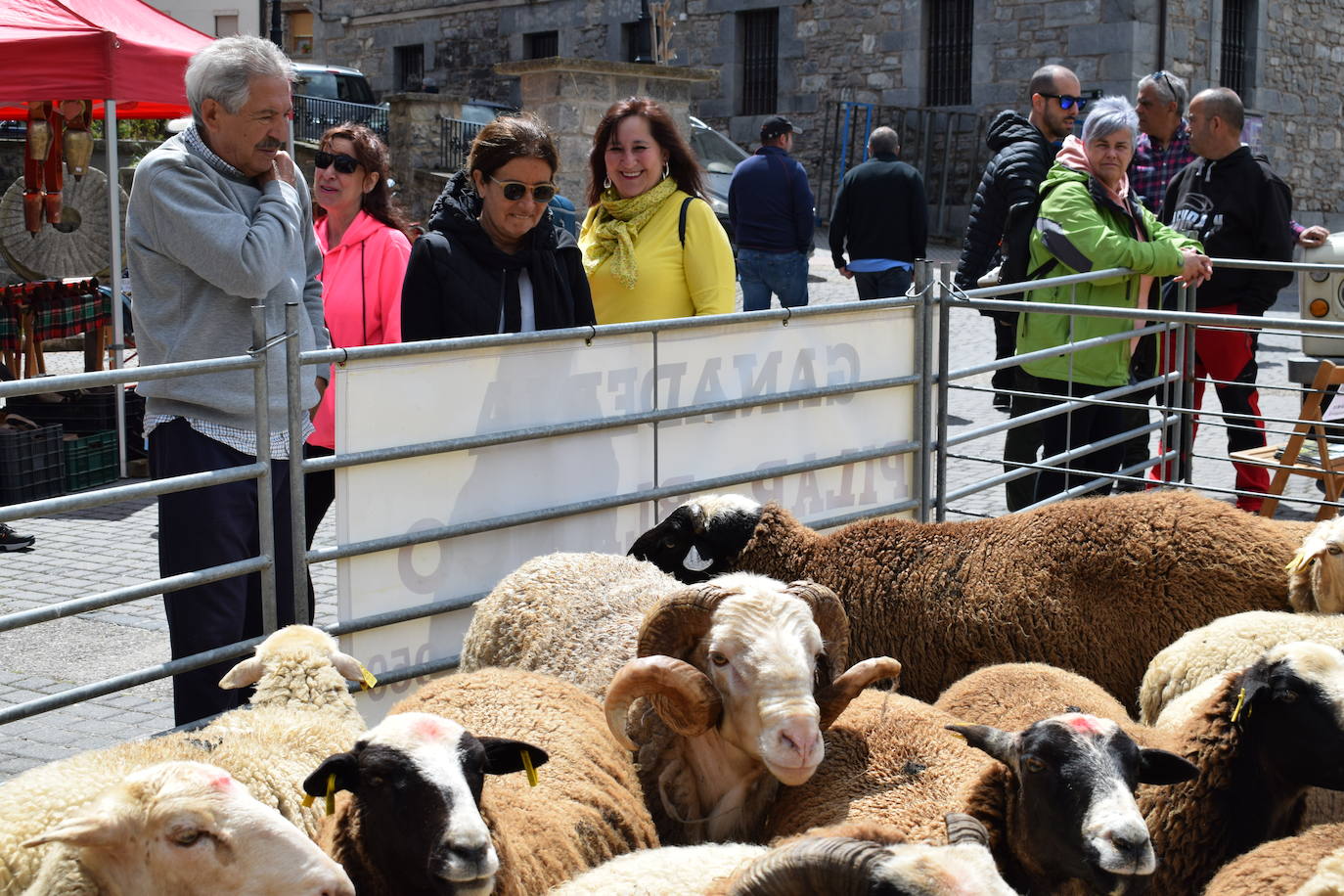 La VII Feria del Ganado Selecto, en imágenes