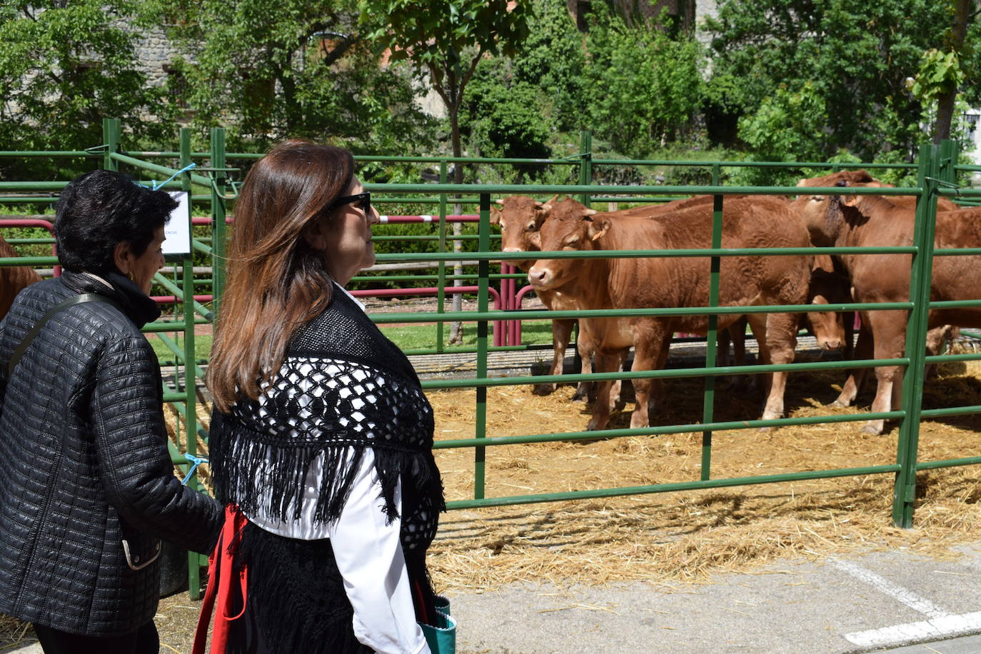 La VII Feria del Ganado Selecto, en imágenes