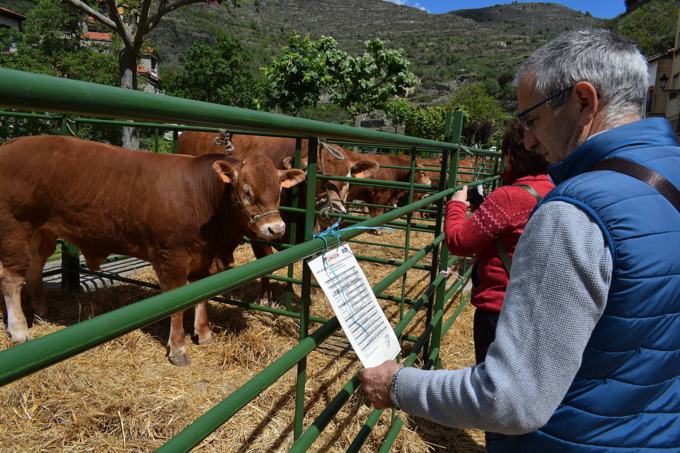 La VII Feria del Ganado Selecto, en imágenes