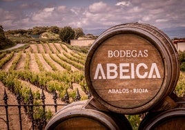 La bodega se ubica en un paraje privilegiado; la orografía del terreno posibilita pequeñas parcelas.