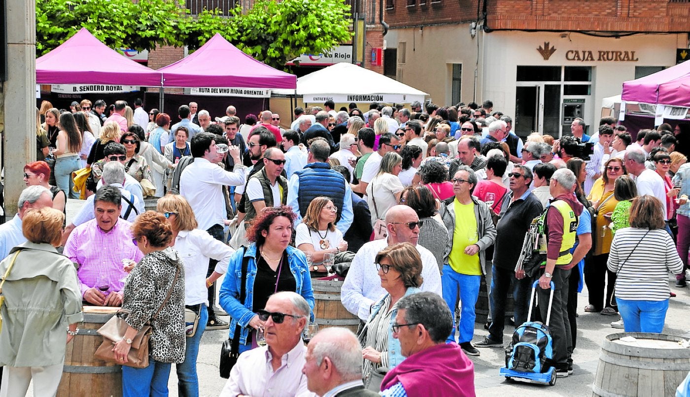 Gran ambiente, en la XV Feria Entreviñas de Aldeanueva de Ebro.