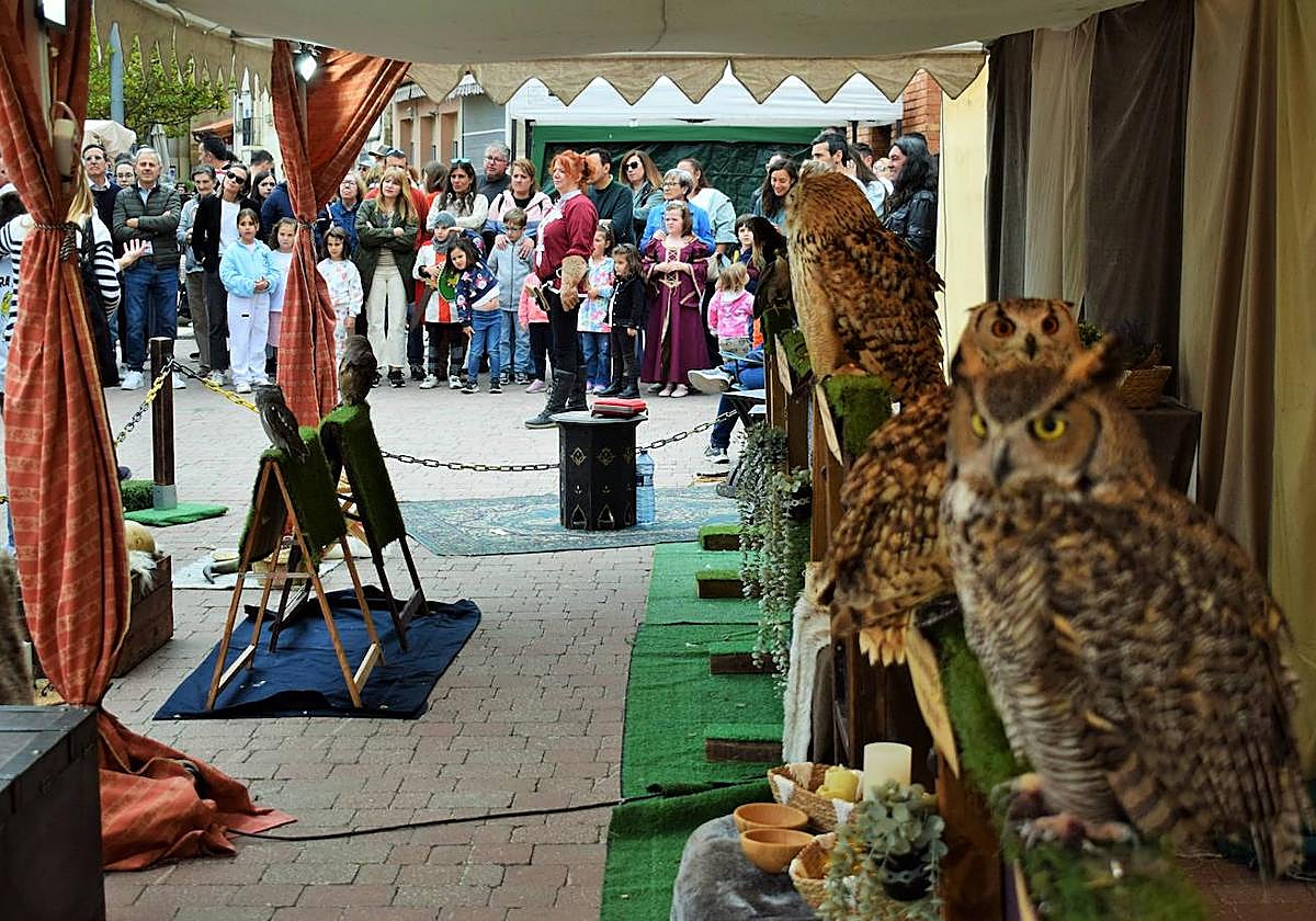 Agoncillo disfruta del XIV Mercado Medieval