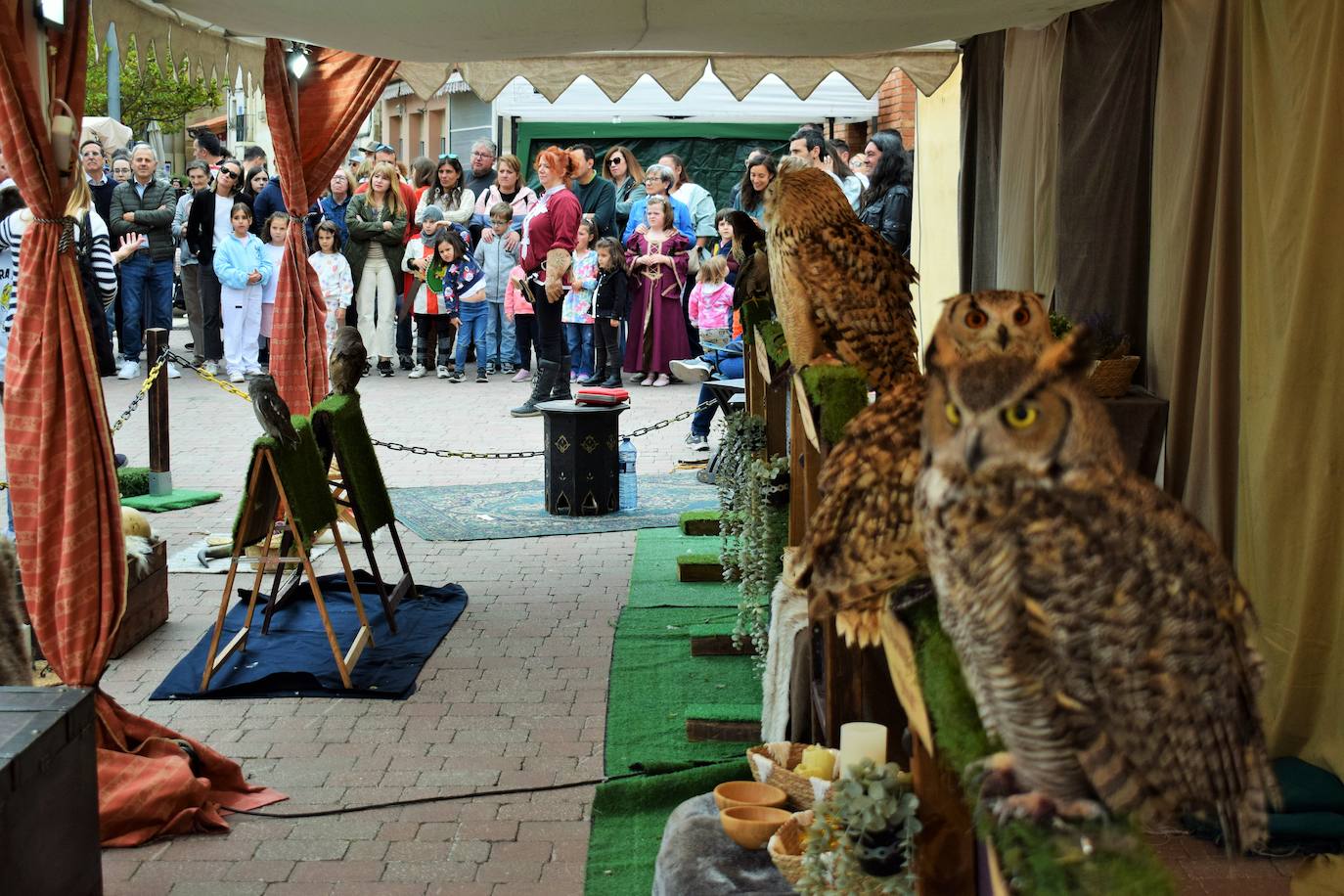 Agoncillo disfruta del XIV Mercado Medieval