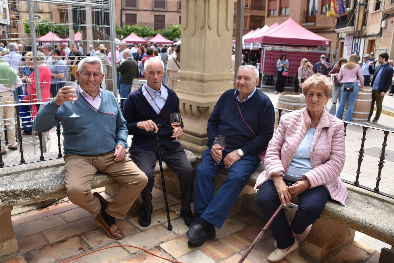 Aldeanueva acoge la XV edición de Entreviñas