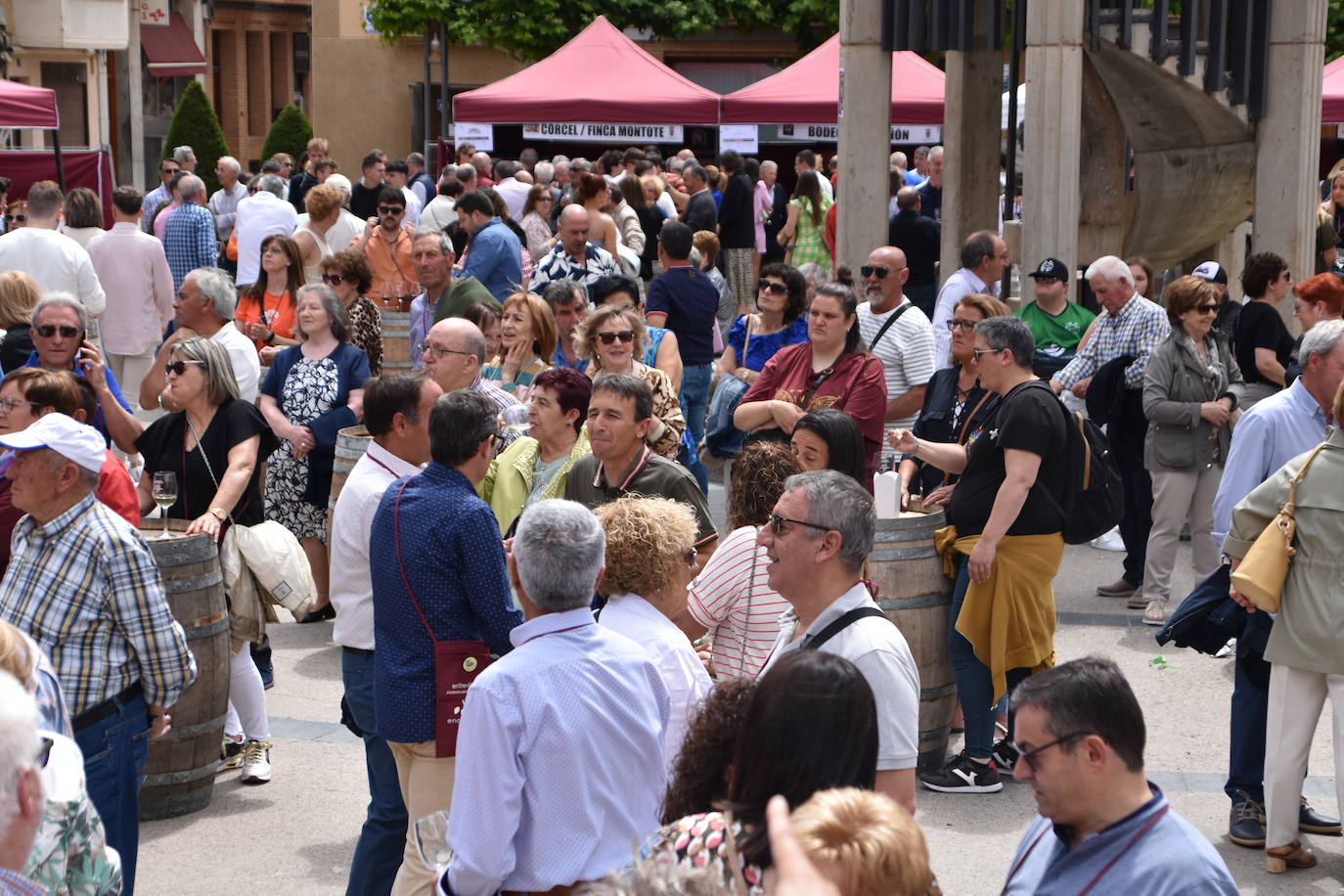 Aldeanueva acoge la XV edición de Entreviñas