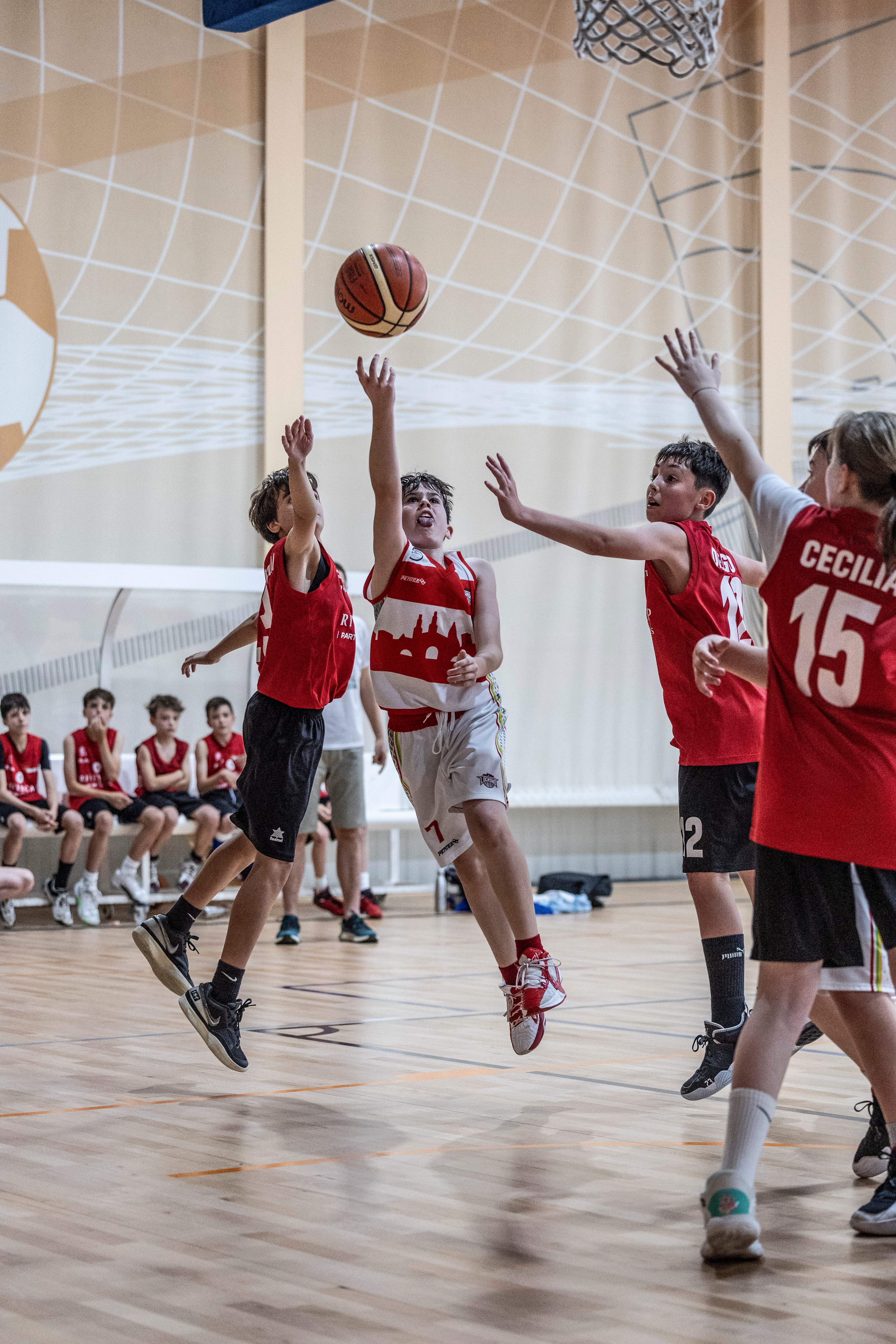 Lobete acoge la segunda jornada del Día del Mini