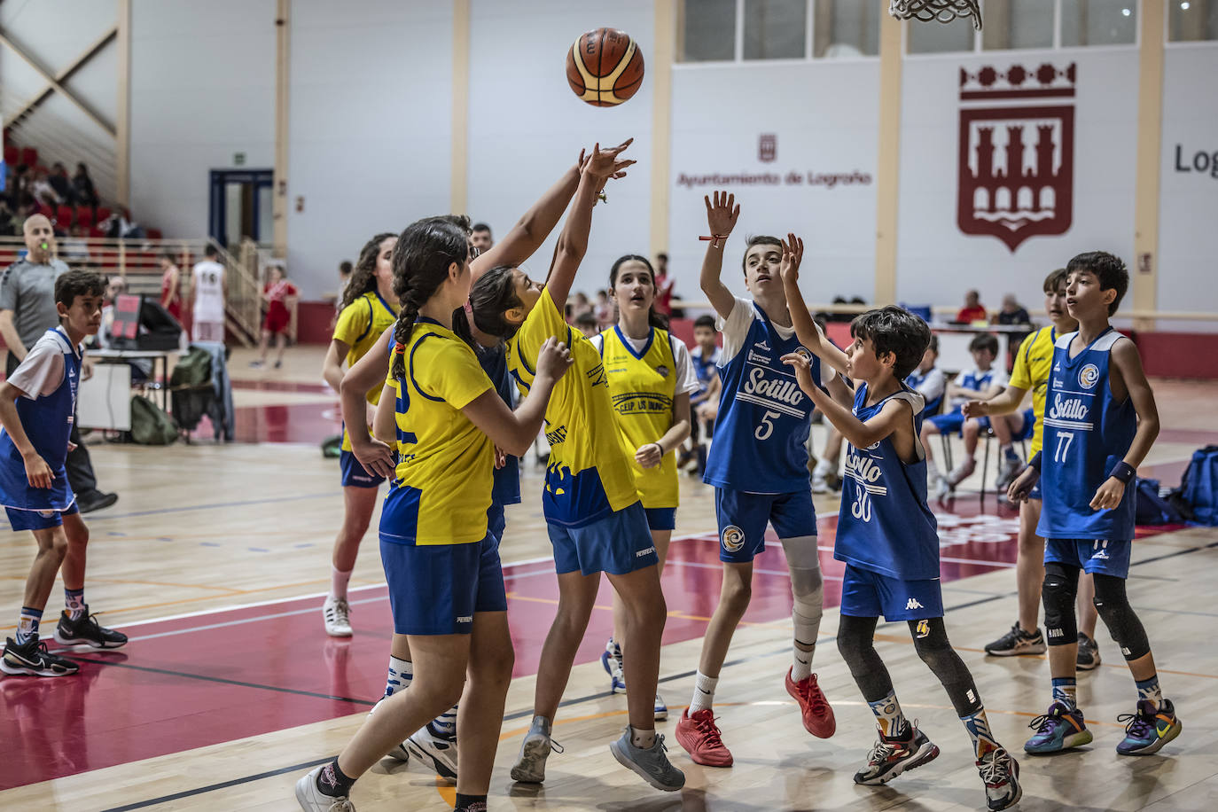 Primera jornada del Día del Mini en Lobete