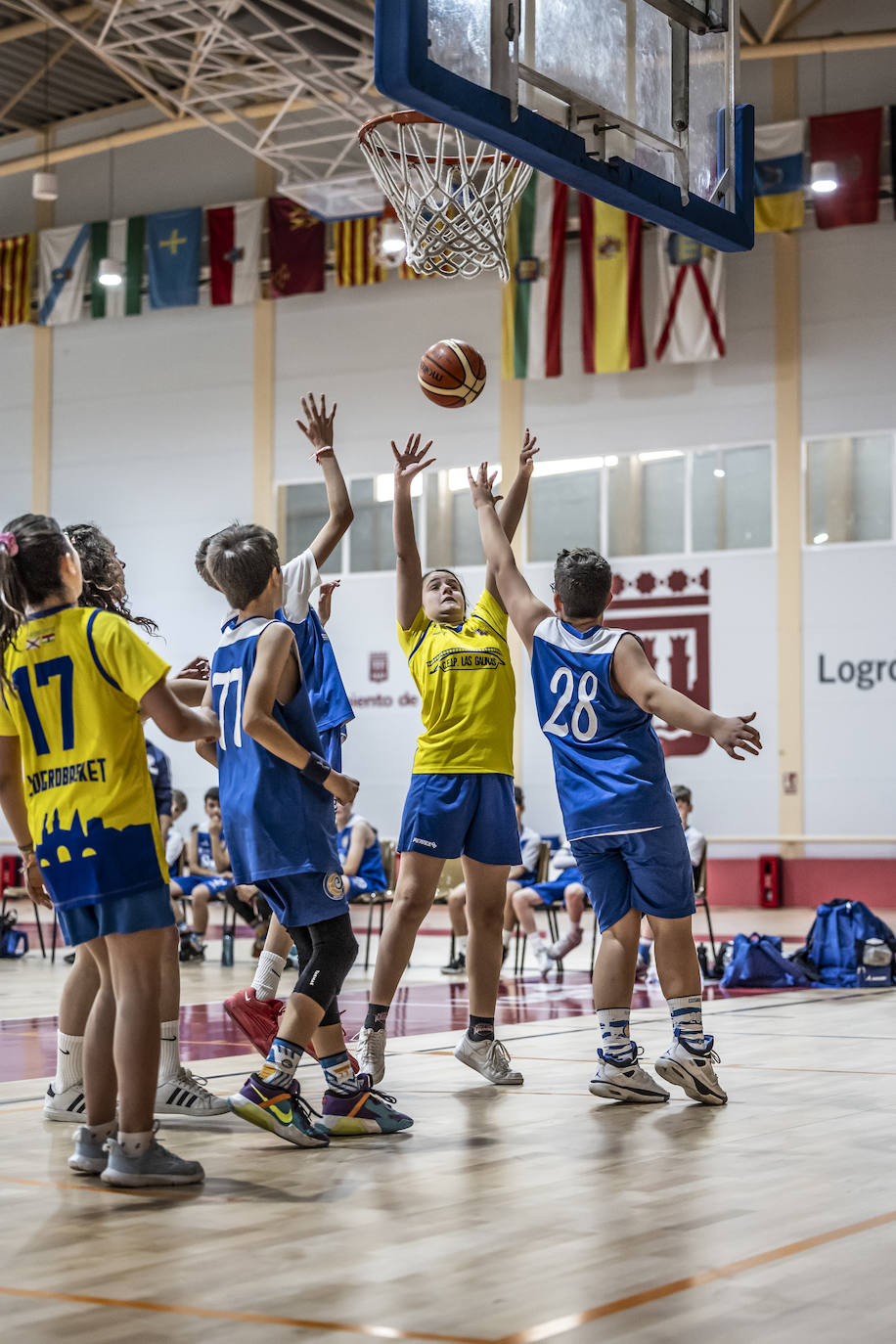 Primera jornada del Día del Mini en Lobete