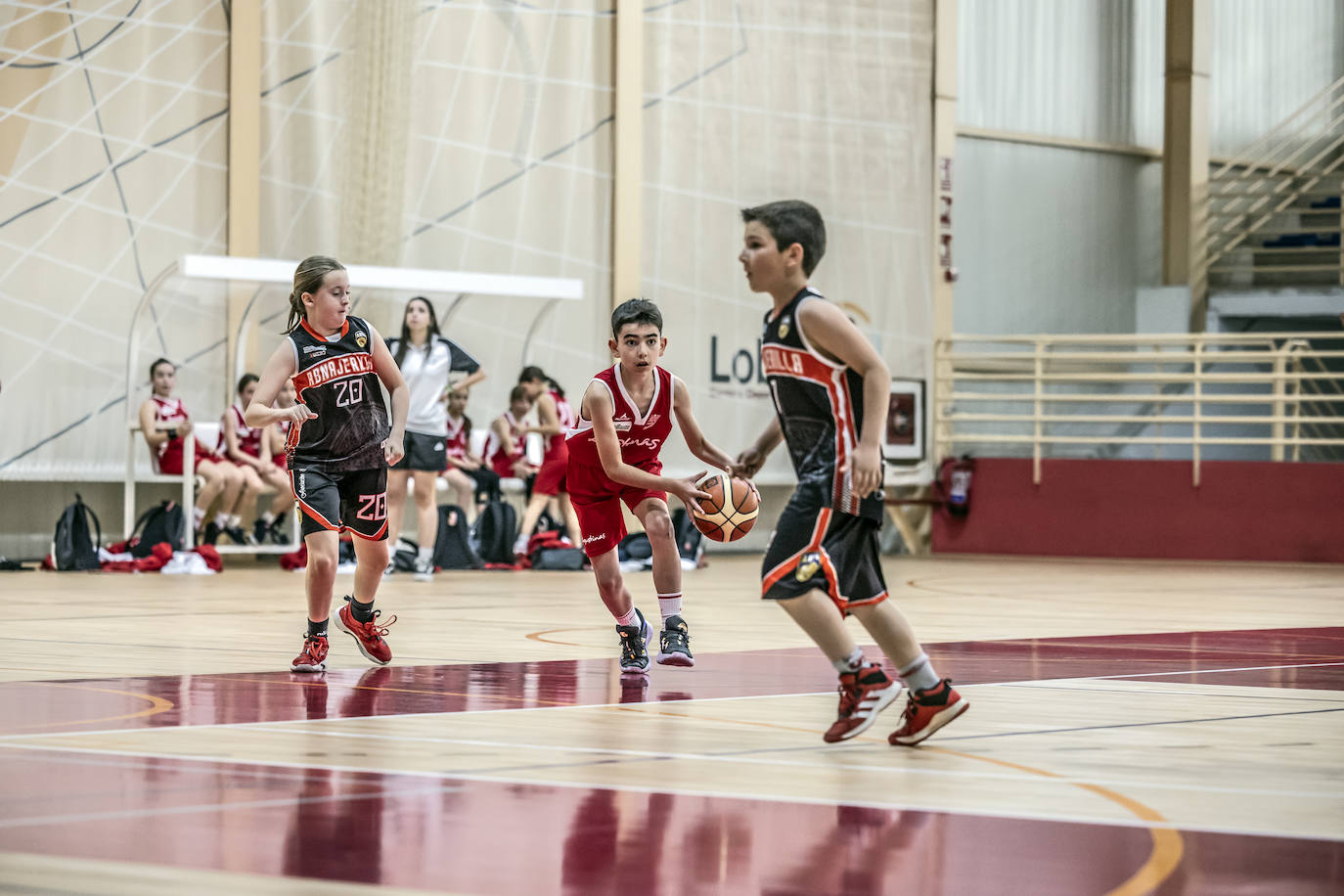 Primera jornada del Día del Mini en Lobete