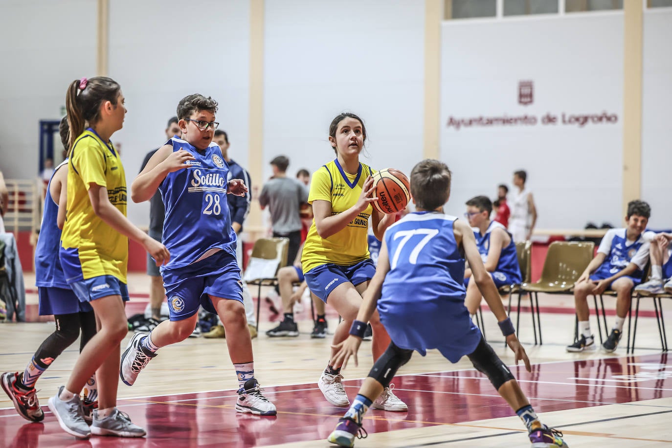 Primera jornada del Día del Mini en Lobete