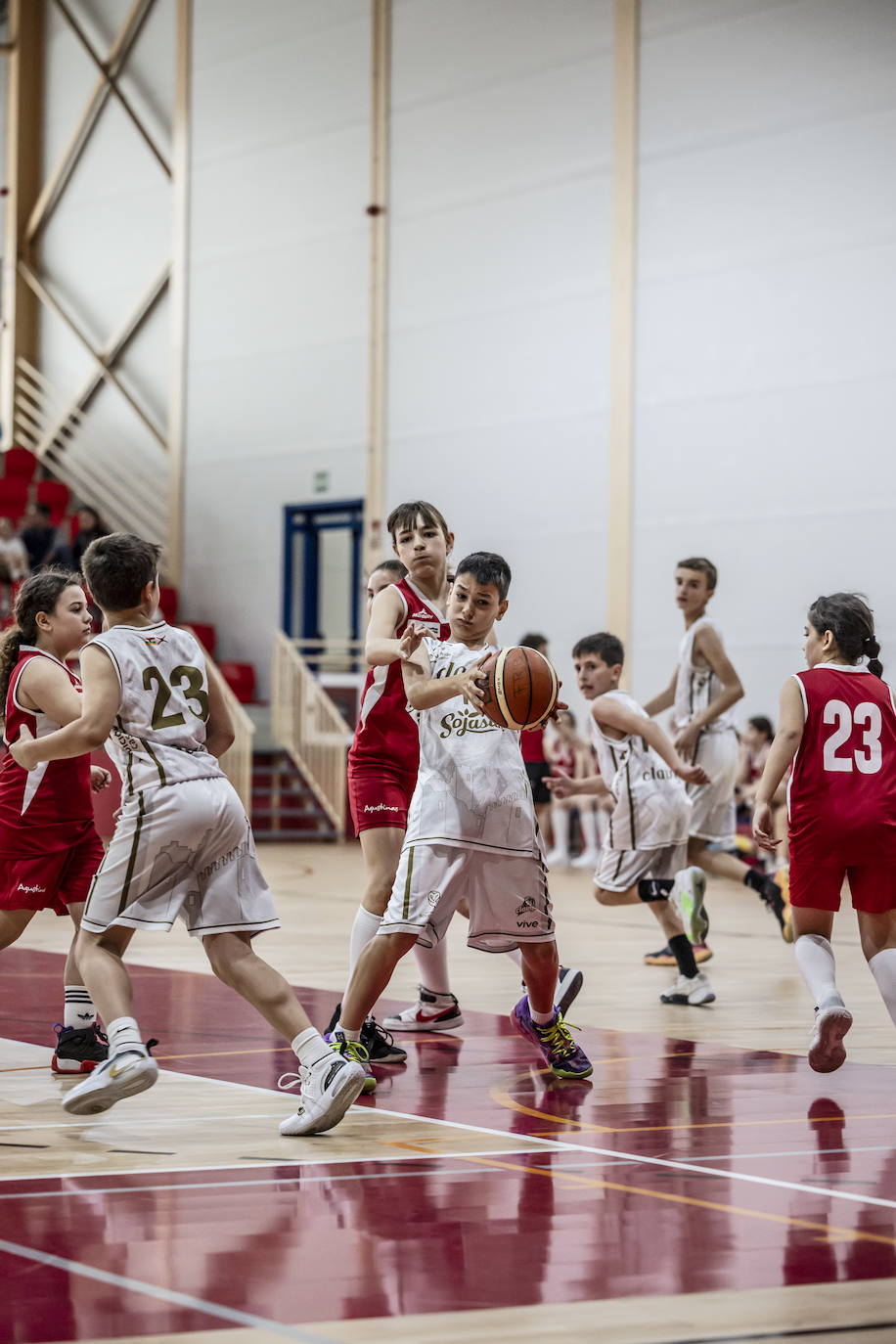Primera jornada del Día del Mini en Lobete