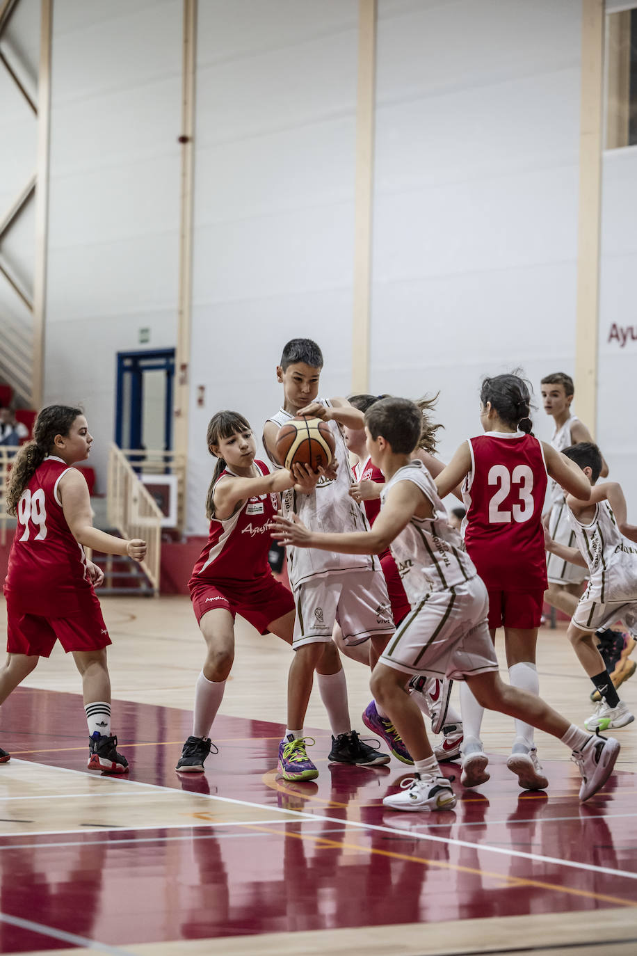 Primera jornada del Día del Mini en Lobete