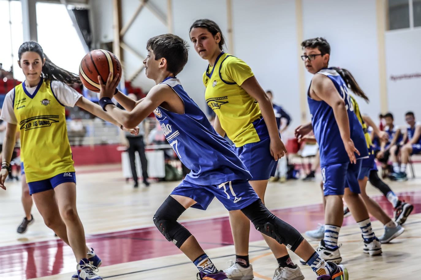 Primera jornada del Día del Mini en Lobete