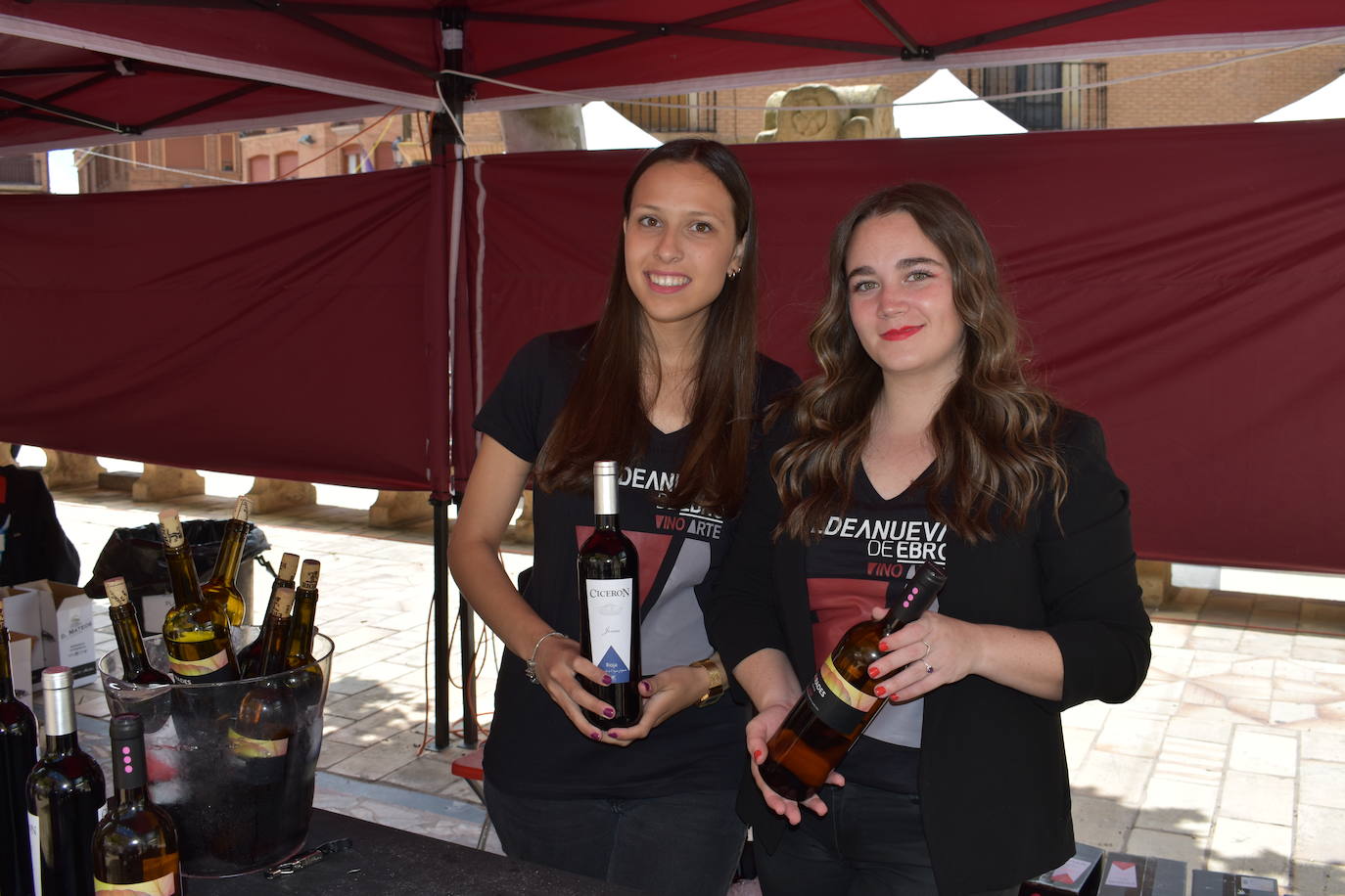 Éxito del Entreviñas de Aldenueva de Ebro