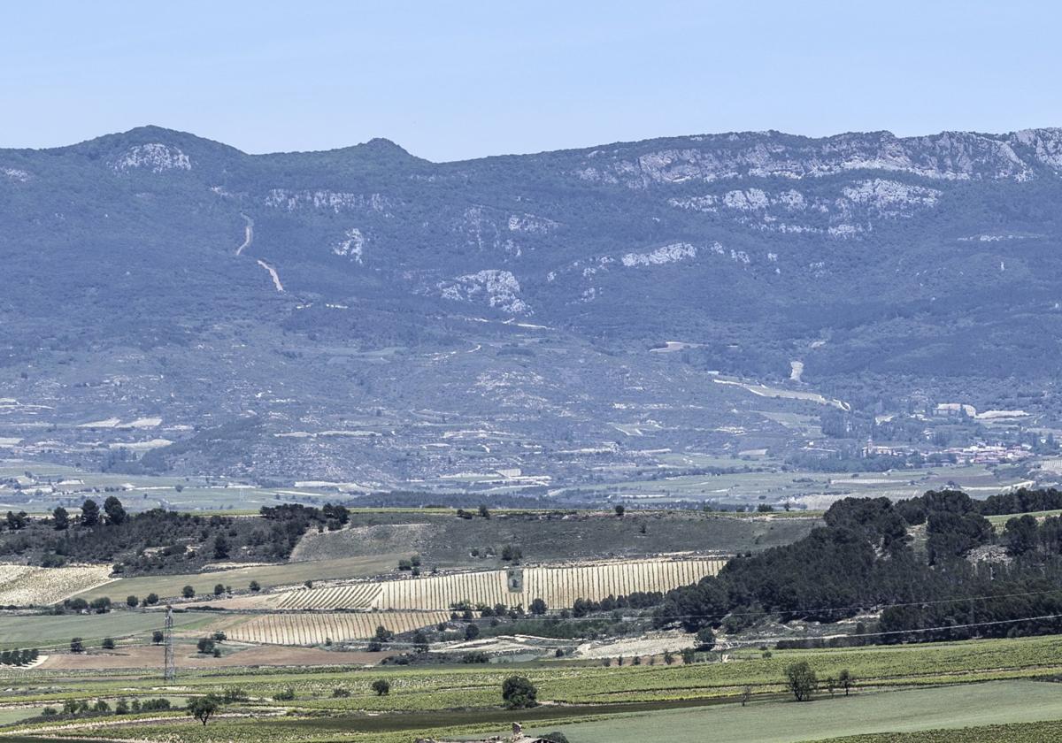 Imagen reciente de la primavera en el campo riojano.