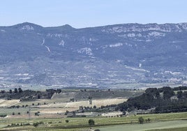 Imagen reciente de la primavera en el campo riojano.