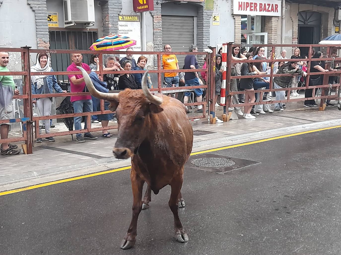Fin de semana de actos culturales, deportivos y gastronómicos en Cervera