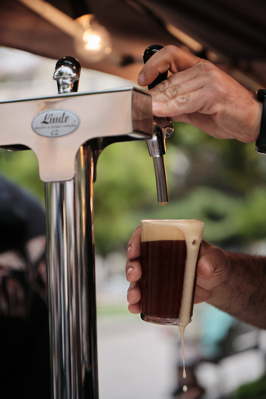 Imágenes de la IV Feria de cerveza artesanal de Logroño