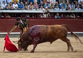 Actuación de nota de Diego Urdiales.