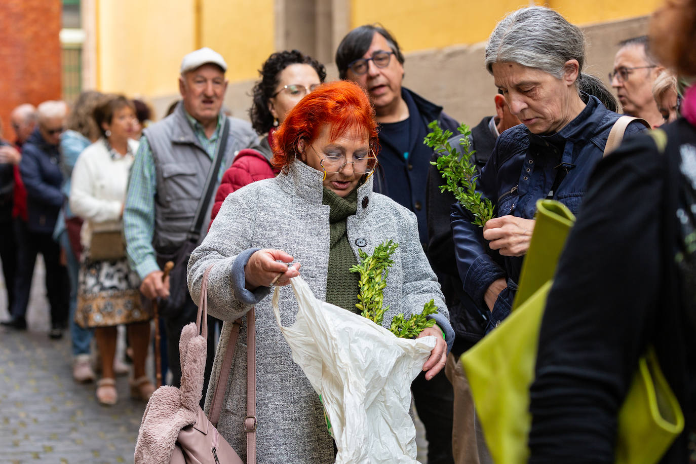 Búscate en las degustaciones de las peñas de Logroño