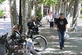 Entre el frío invernal y el calor veraniego