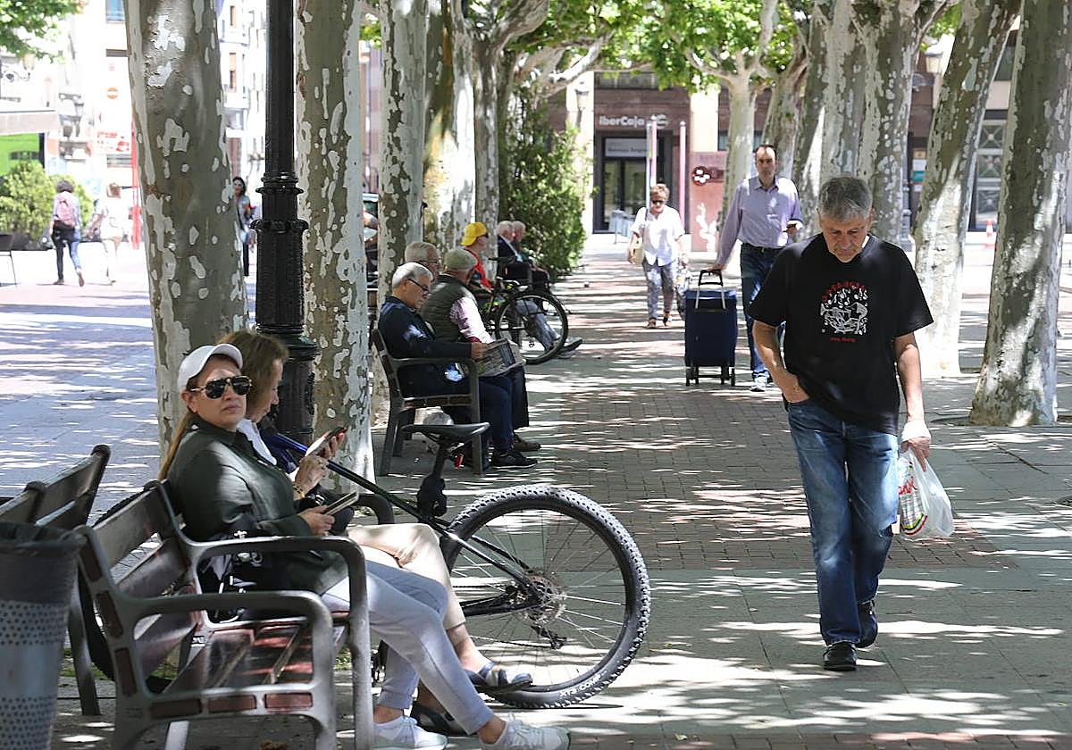 Entre el frío invernal y el calor veraniego