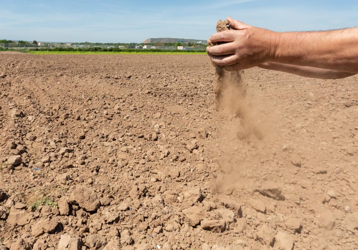 Un agricultor riojano muestra la escasez de agua de sus campos.