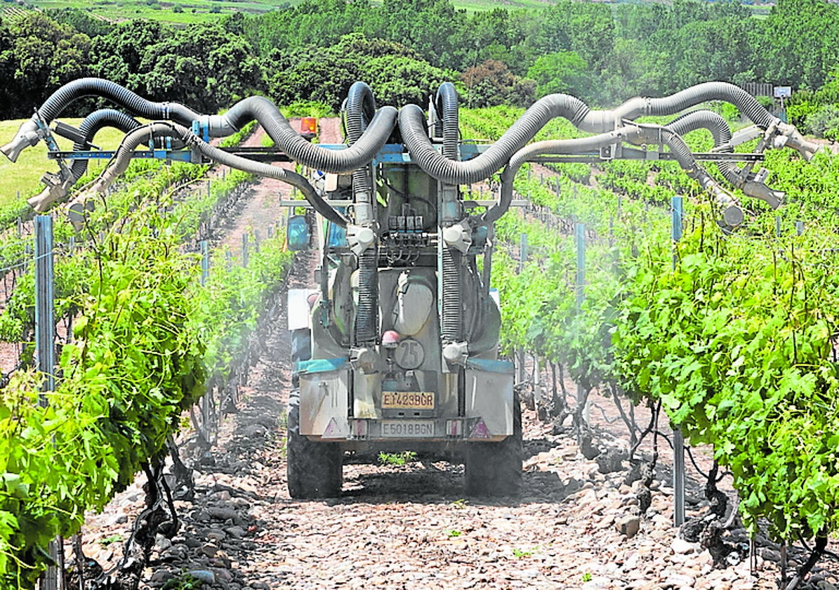 Tratamiento contra el mildiu en un viñedo de La Rioja Alta