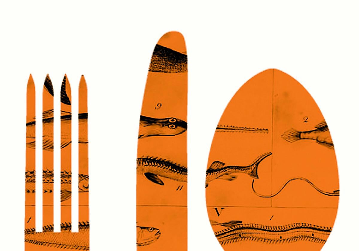 Adán desangra su primer mero