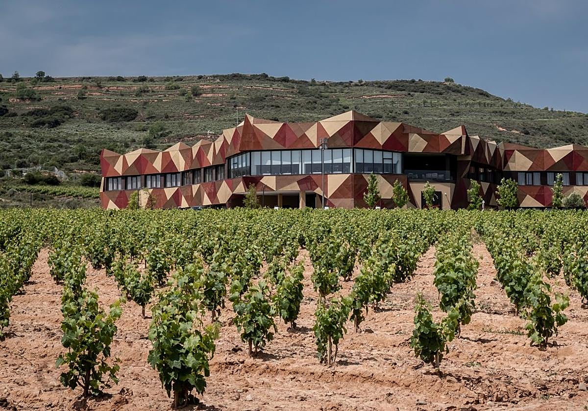 Vista general de la bodega.