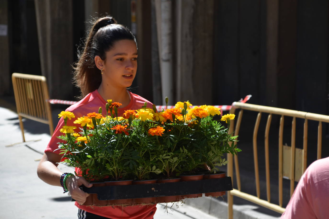 Deporte en la calle y VIII carrera a favor de la AECC en Autol