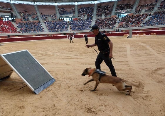 En la plaza de toros han participado distintos grupos y unidades de la Policía.