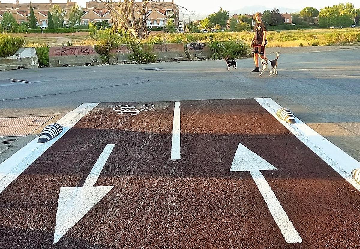 Un joven pasea a sus perros junto al final del carril ciclopeatonal de Lardero en la avenida Juan Carlos I.