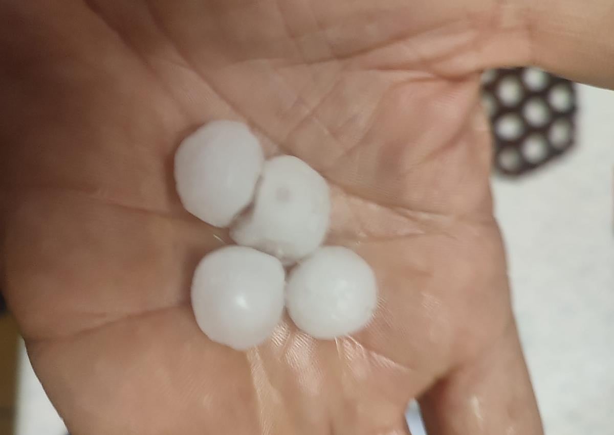 Imagen secundaria 1 - Las recientes granizadas ponen en riesgo las campañas de ciruela y peras en el Iregua