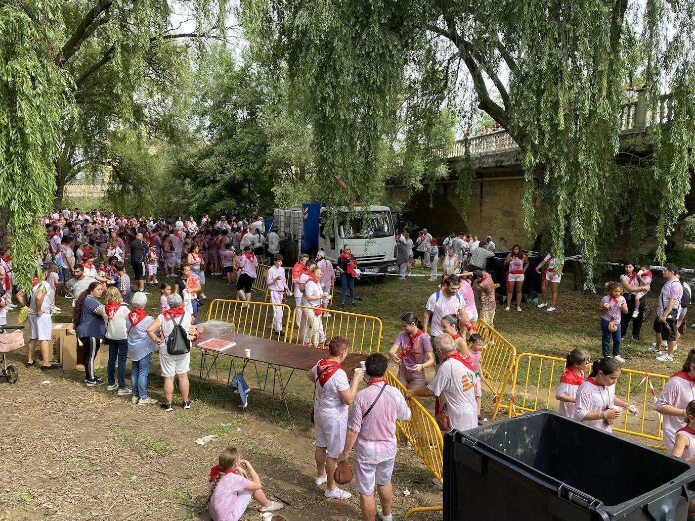 La Batalla del Vino infantil, en imágenes