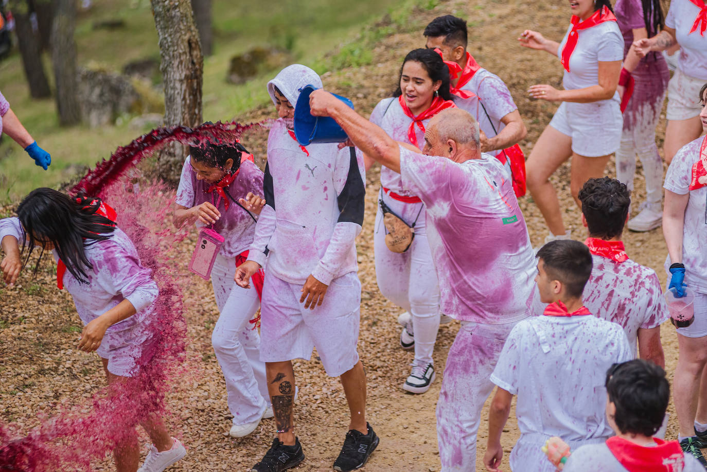 La Batalla del Vino de Haro tiñe los riscos