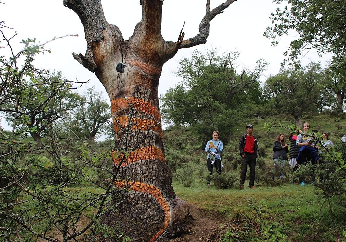 David Azpurgua, de rojo, contempla el árbol con su obra inspirada en la Capilla Sixtina de Miguel Ángel.