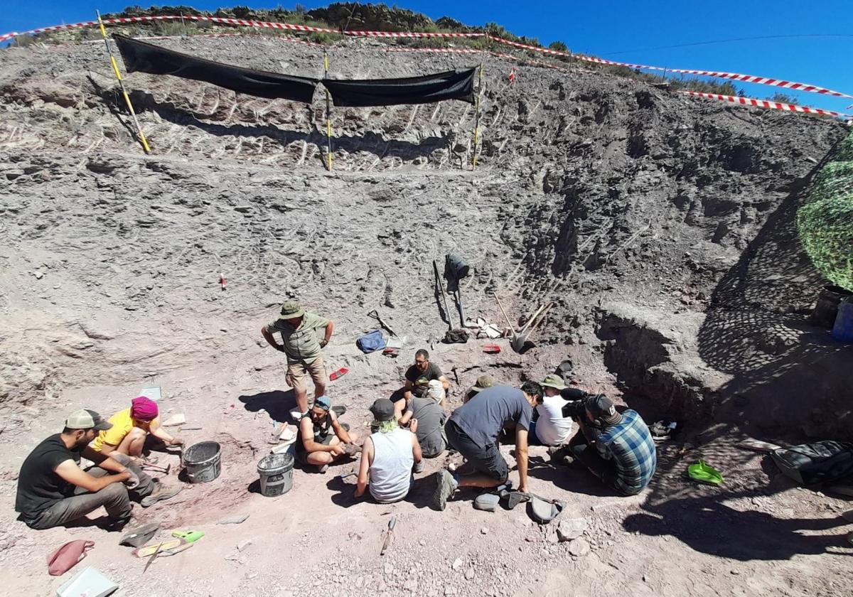 Imagen general de la zona de excavación con la profundidad que tiene después de tres campañas.