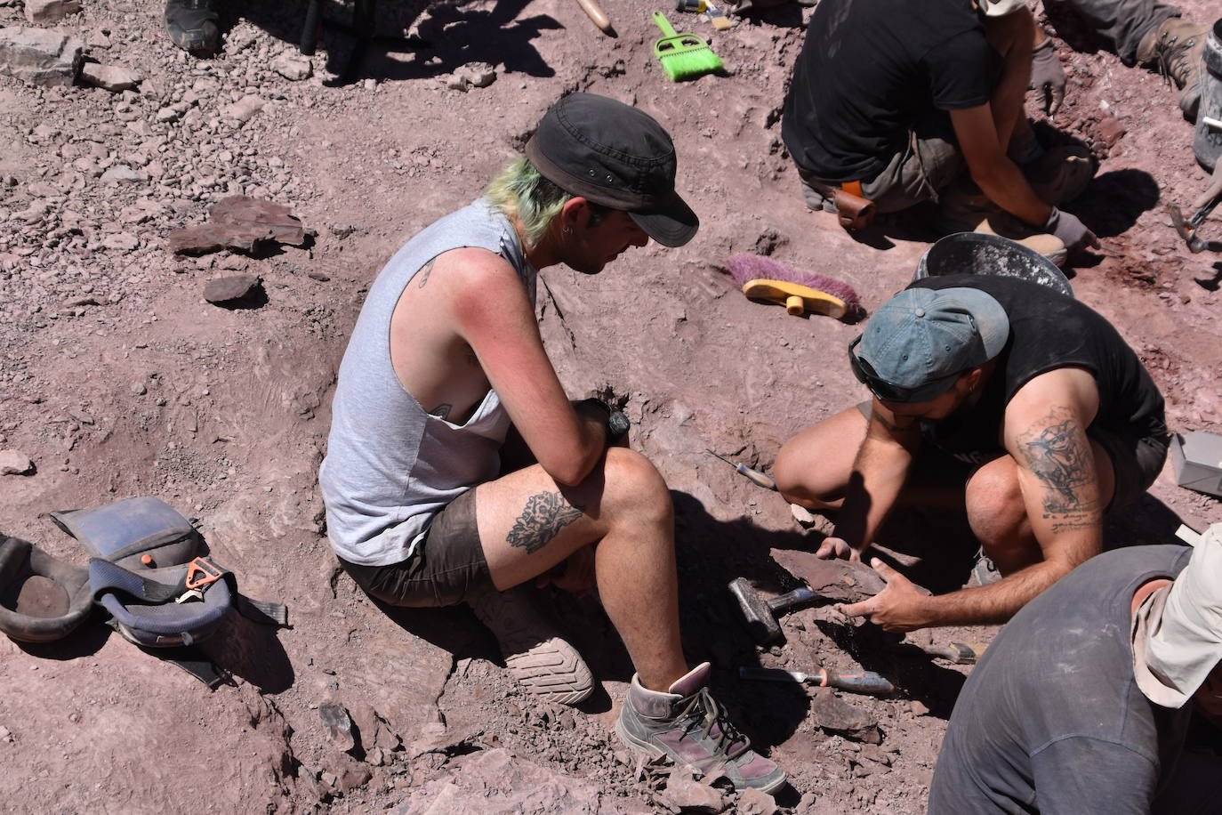 Las imágenes de la excavación del yacimiento de Igea