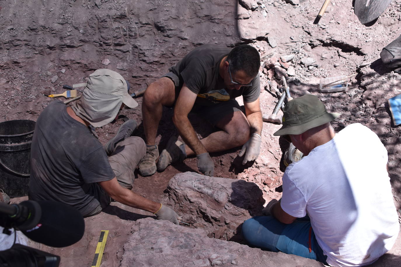 Las imágenes de la excavación del yacimiento de Igea