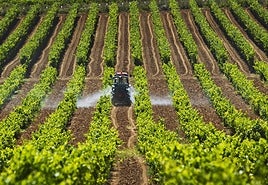 Rioja podrá incluir en las etiquetas el nombre del pueblo donde se cultivan los viñedos