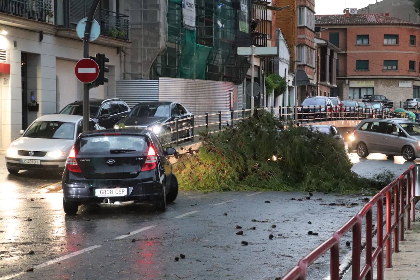 Ramas caídas en la calzada, en una calle de Alfaro